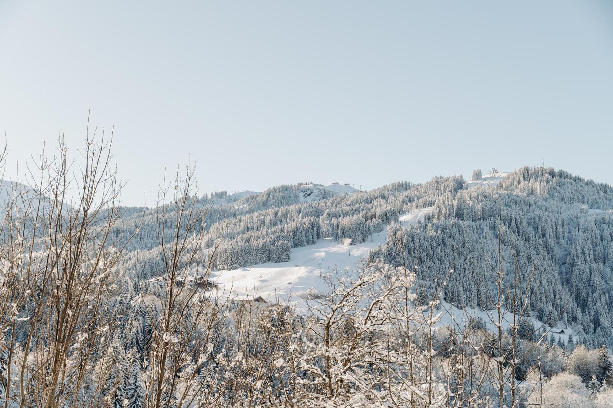 Les Chalets Du Mont D'Arbois & Spa, Megeve Megève Exterior foto